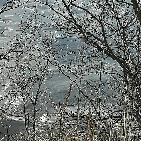 Hausboot Janne Inclusive Kanu Nach Verfügbarkeit Sup Und Wlan 50 Mbit S Flat Lübeck